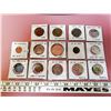 Image 1 : VARIOUS COINS, 14 TOTAL