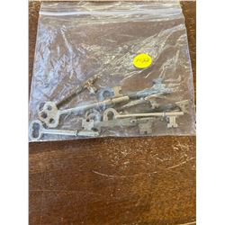 1 PLASTIC BAG OF SKELETON KEYS