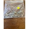 Image 1 : 1 PLASTIC BAG OF SKELETON KEYS