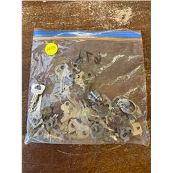 1 PLASTIC BAG OF KEYS