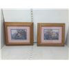 Image 1 : 2 FRAMED PICTURES