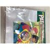 Image 11 : CHILDRENS PLAY SET