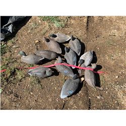 Duck Decoys