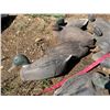 Image 2 : Duck Decoys