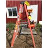 Image 7 : 6 FOOT FIBERGLASS LADDER