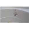 Image 3 : JET TUB-FIBERGLASS