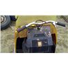 Image 3 : SKIDOO 1969 ROTAX ENGINE