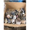 Image 1 : BOX OF GEODS AND CRYSTALS + ROCKS
