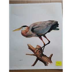 Print, Great Blue Heron, 24x20”, signed, J. Fenwick Lansdowne, 1975, limited edition 6/350