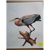 Image 1 : Print, Great Blue Heron, 24x20”, signed, J. Fenwick Lansdowne, 1975, limited edition 6/350