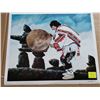 Image 1 : Print, Coat of Colours, 24x20” signed, Ken Kirby, limited edition 142/350
