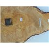 Image 4 : 32" TALL TREE SLAB WALL CLOCK