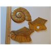 Image 1 : SHELL SHAPED SOLID BRASS WALL ORNAMENTS