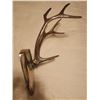 Image 5 : LARGE METAL ANTLERS