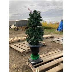 X-MAS PLANT IN PLASTIC POT