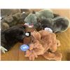 Image 3 : LOT OF PLUSH TOYS ALL WITH TAGS