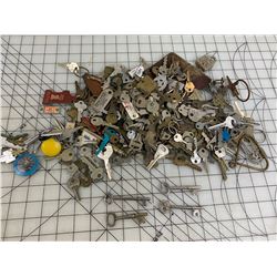 LOT OF KEYS SOME SKELETON