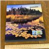 Image 1 : 1999 COLLECTION OF CANADA POST STAMP BOOK
