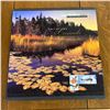Image 2 : 1999 COLLECTION OF CANADA POST STAMP BOOK