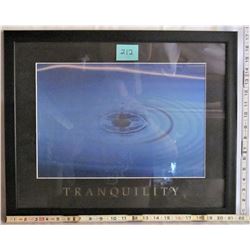 11"x16" FRAMED "TRANQUILITY" PRINT