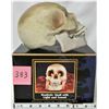 Image 1 : NEW HALLOWEEN BOXED MOTION ACTIVATED SKULL- HAUNTING LAIGH & LITE UP EYES