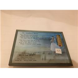 425-MEATH PARK ADVERTISING PICTURE