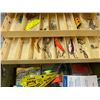 Image 6 : TACKLE BOX WITH HOOKS