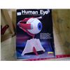 Image 4 : HUMAN EYE MODEL KIT UNBULIT BY LINDBERS