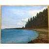 Image 1 : 1993 Original Acrylic on Canvas "Kingsmere Lake PANP"