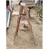 Image 1 : Woodent Stepladder 56"