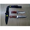 Image 1 : 2 HUNTING KNIVES 11IN