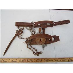 LOT OF 2 LARGER ANIMAL TRAPS