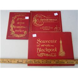 3 ANTIQUE SOUVENIR PICTURE BOOKS FROM ENGLAND