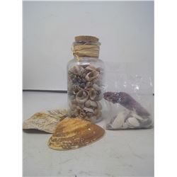 JAR OF SHELLS, BAG OF SHELLS AND 2 LOOSE SHELLS