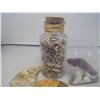 Image 4 : JAR OF SHELLS, BAG OF SHELLS AND 2 LOOSE SHELLS