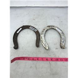 A BROWN AND WHITE HORSESHOE