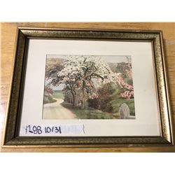 PHOTO: CHERRY BLOSSOM TREES, MATTING, 13 1/4" X 10 1/4"