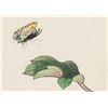 Image 4 : Fu Hua Chinese Watercolor Flowers and Butterflies