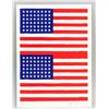 Image 2 : Jasper Johns American Pop Signed Litho 8/100