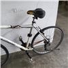 Image 4 : SILVER MIELE BIKE