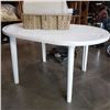 Image 3 : Plastic elongated patio table, plastic carboy and crate