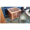 Image 1 : VINTAGE 2 DOOR CABINET
