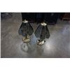 Image 1 : Pair of brass and smoked glass lamps