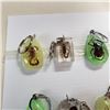 Image 2 : TRAY OF 10 ENCASED SCORPION AND BEETLE KEYCHAINS