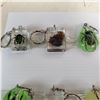 Image 2 : TRAY OF 10 ENCASED SCORPION AND BEETLE KEYCHAINS