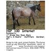 Image 1 : Raspberry