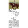 Image 1 : Poco Pine Whiskey