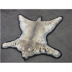 Bobcat Rug- Front Legs 40 1/2 W- Back Legs 39 - Long 41 