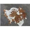 Image 1 : Brazilian Tanned Cowhide- Approximately 80" X 60"