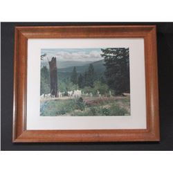 Signed Ernst Peterson Photo- Summer Bitterroot Valley- 16" X 13"